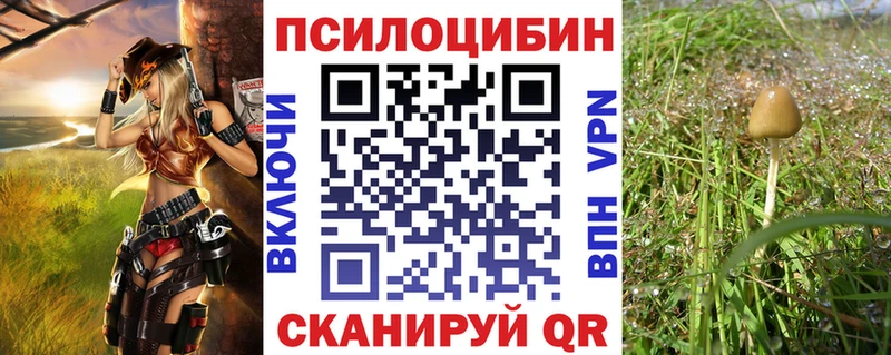 Галлюциногенные грибы Magic Shrooms Мглин